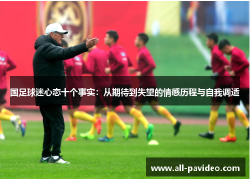 国足球迷心态十个事实：从期待到失望的情感历程与自我调适